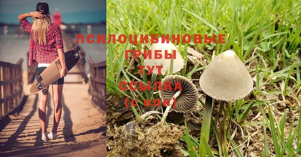 круглые Ельня