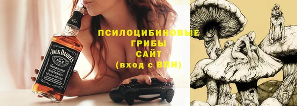 круглые Ельня